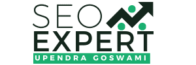 seo expert jaipur new logo (1)